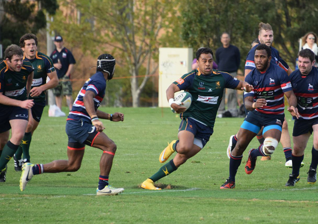 Melbourne v Box Hill Dewar Shield Rd 3 2015
