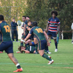 Melbourne v Box Hill Rd 3 Dewar Shield 2015