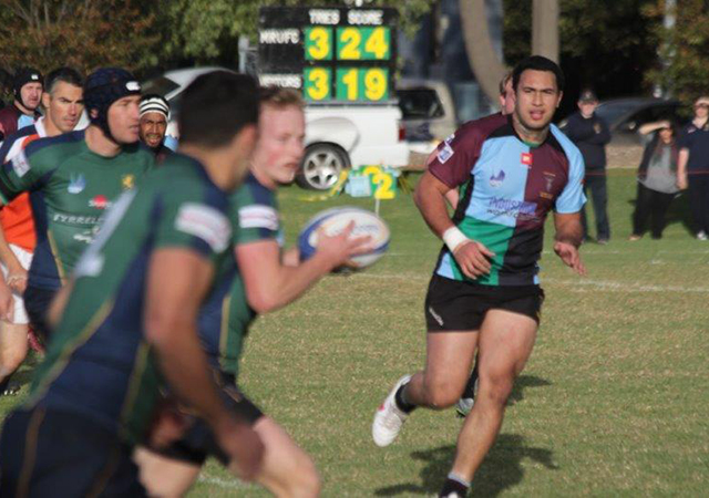 Dewar Shield Preview Harlequin v Melbourne