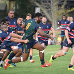 Preview Dewar Shield Rd 14 Box Hill v Melbourne