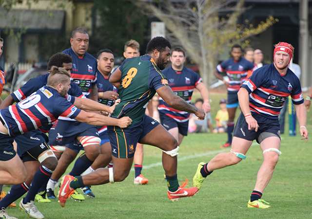 Preview Dewar Shield Rd 14 Box Hill v Melbourne