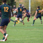 Review Rd 14 Dewar Shield Box Hill v Melbourne