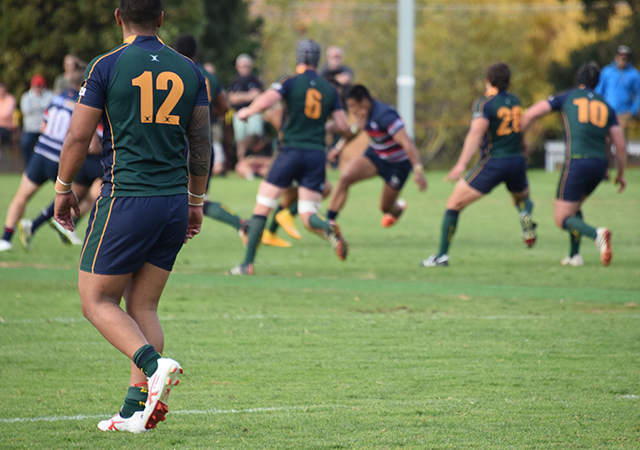 Review Rd 14 Dewar Shield Box Hill v Melbourne