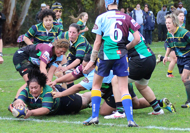 Preview Rugby Grand Finals 2015
