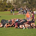 Review Rd 15 Dewar Shield 2016 Harlequins v Melbourne