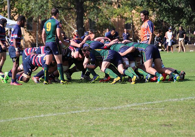 Preview 2016 Dewar Shield Preliminary Final Melbourne v Box Hill