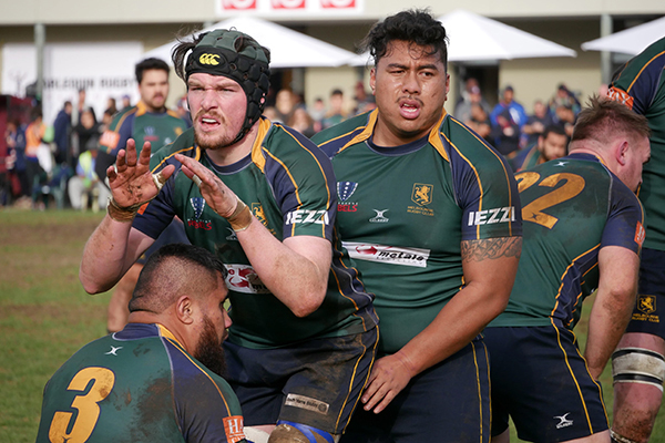 Preview Dewar Shield Grand Final 2016 Harlequins v Melbourne