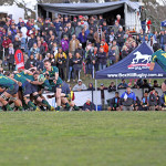 Dewar Shield Grand Final 2017