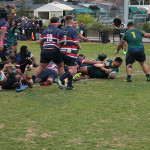 Dewar Shield Preliminary Final 2017 Melbourne v Box Hill