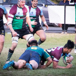BLK Dewar Shield Major Semi Final 2017 Harlequins v Melbourne