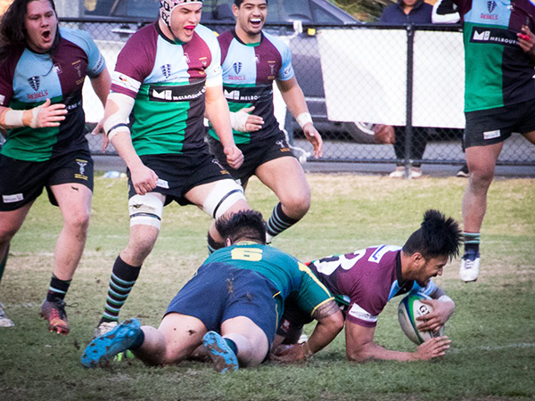 BLK Dewar Shield Major Semi Final 2017 Harlequins v Melbourne