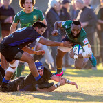 Melbourne Rugby Club Dewar Shield Preview Round 10