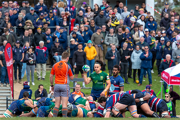 Dewar Shield Grand Final 2019 Melbourne v Box Hill